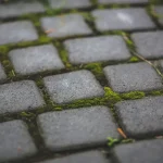 How to impregnate paving stones? – guide