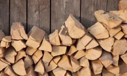 Ile kosztuje drewno opałowe za m3 i gdzie kupić?